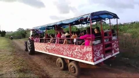 El "tour de la piña", un deseo que busca su espacio