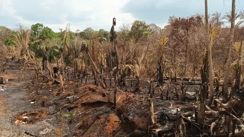  Preocupan Quemas y talas de bosques de galería en Veraguas