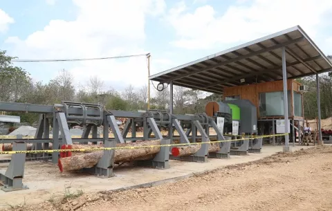 Innovaciones permiten maximizar gestión forestal sostenible