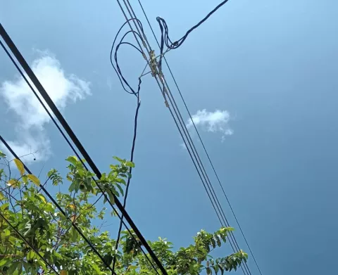 Niño muere electrocutado al intentar alcanzar guabas