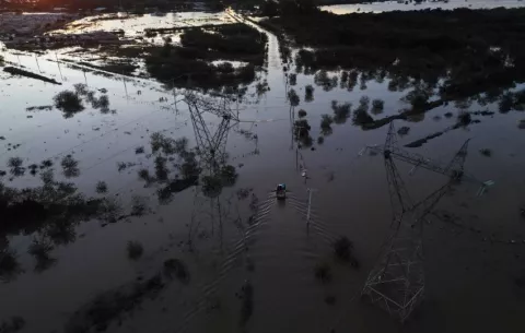 Ganadería en Brasil pierde más de $41 millones en inundación