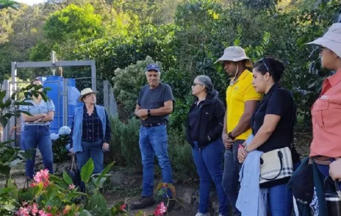 Investigadores identificarán características aromáticas de variedades del café