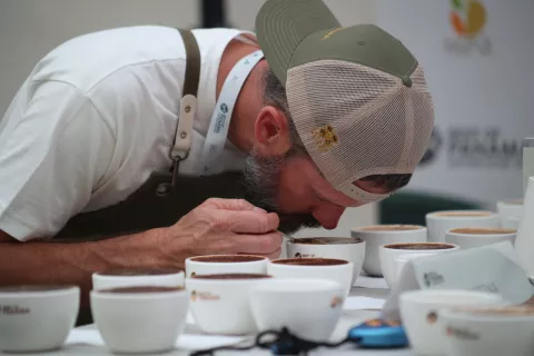 Comienza la Cata Nacional del Mejor café de Panamá 