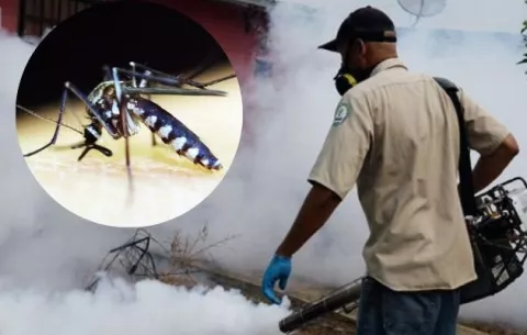 Dos niños mueren por dengue hemorrágico en Panamá