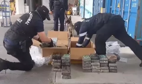 Incautan droga que tenía como destino  Bélgica