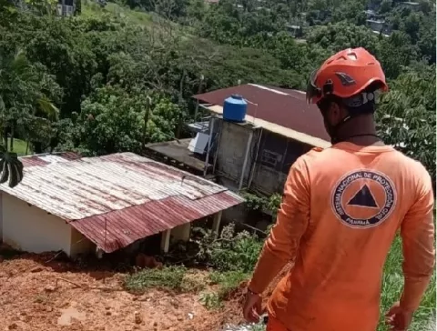Lluvia provocó colapso de muros y caídas de árboles