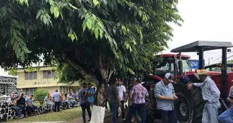 Productores santeños de maíz retiran maquinarias de las calles