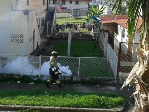 Minsa en Colón exhorta a eliminar los criaderos de mosquitos