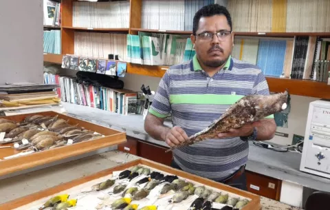 Museos de la UP albergan una colección invaluable de especies