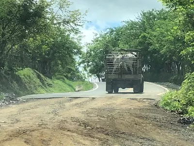 Reclaman mejoras a la vía Pesé-Las Minas en Herrera 