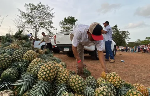 Aumentan exportaciones de rubros desde Panamá Oeste