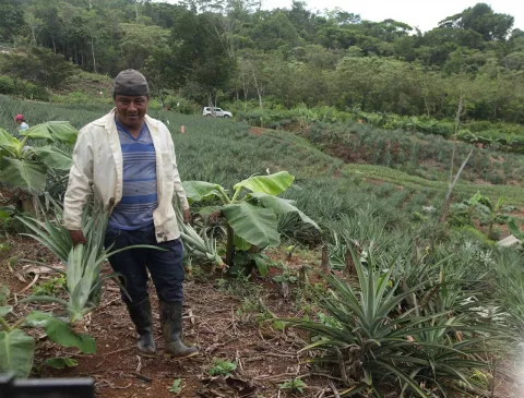 Cese de la mina: proveedores y comercios resienten el golpe 