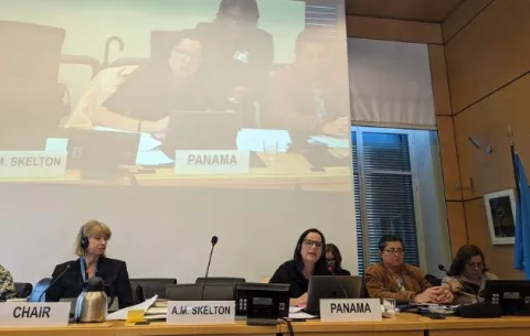  Panamá sustenta ante la ONU informe sobre protección de la niñez