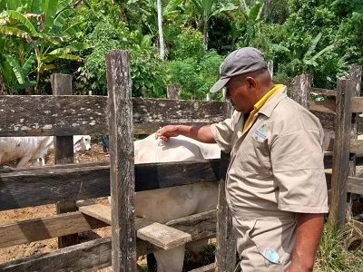 Acciones de control y prevención tras caso de rabia bovina