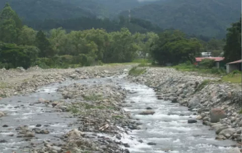 Navarro pide suspender tala de árboles cerca del río Caldera