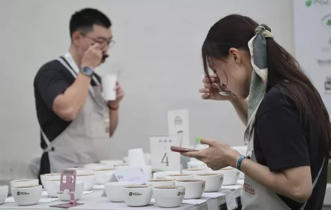 Café geisha natural se alza con el triunfo en cata internacional