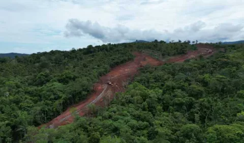 Construcción de carretera por bosque pone en peligro miles de especies