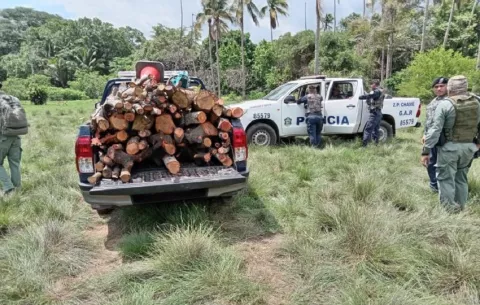 Caen dos talando mangle dentro del Área Protegida en la Bahía de Chame