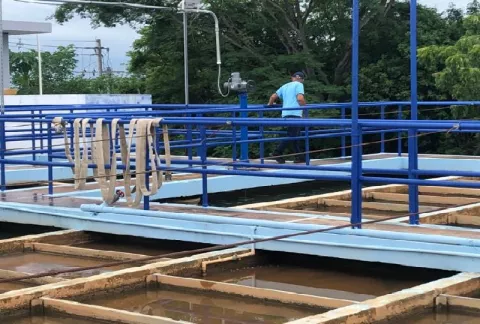 Suspenden clases en algunas escuelas de Chitré por turbiedad en el agua