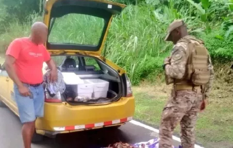 Viola la veda y lo sorprenden transportando una 20 langostas