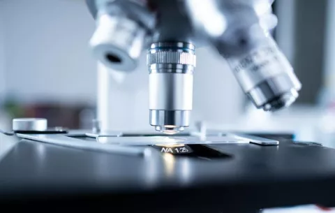 Identifican microplásticos en el semen humano