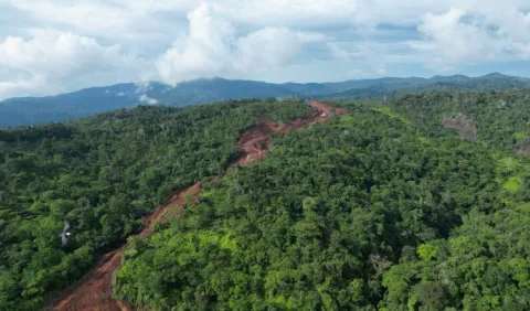 Alterar el ambiente abriría la puerta a más enfermedades