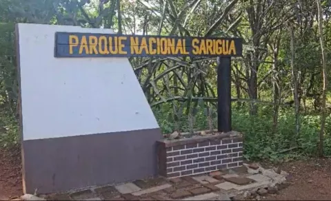Investigan mortandad de peces en Sarigua