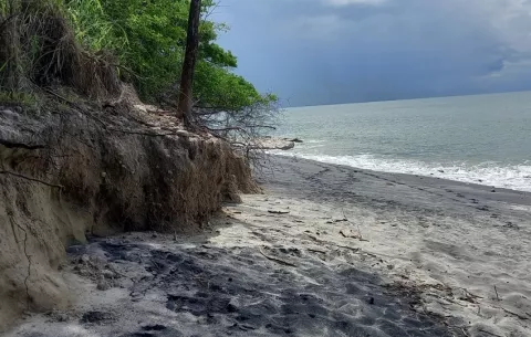 ¿Cómo impacta la erosión costera en las playas del Pacífico?
