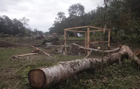 Desalojan a un grupo de invasores en la finca 30 en Bocas del Toro
