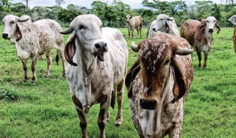 Titulaciones siembran esperanzas en el agro