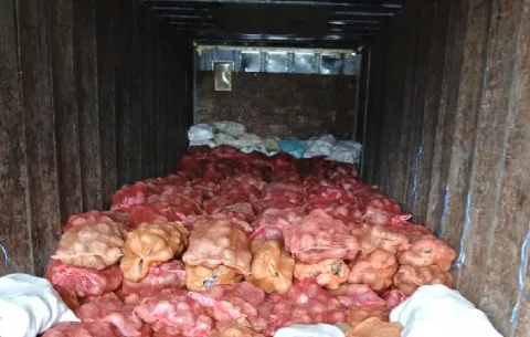 Detectan cargamento ilegal de ñame en Ocú; la mercancía iba a Merca Panamá