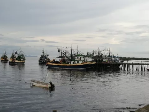 De los intoxicados en barco pesquero, cuatro han sido intubados 