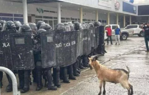 Más de 45 detenidos por invadir terreno privado en Bocas del Toro