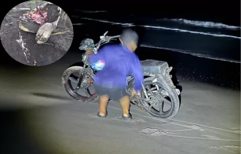 Cazadores de tortugas marinas tendrán que enfrentar la ley