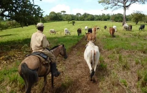 VIII Censo Nacional Agropecuario: ¿Cuál será el sistema de pago?