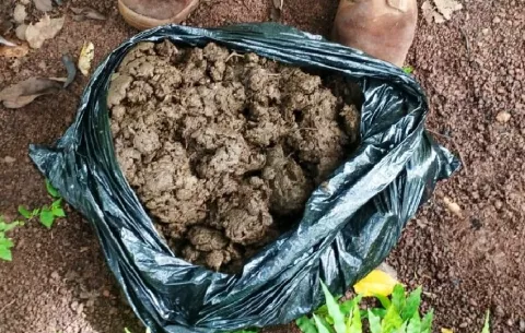 Incautan 483 paquetes de drogas y dos fusiles de guerra