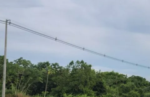 Una cometa dejó sin luz a Herrera y Los Santos