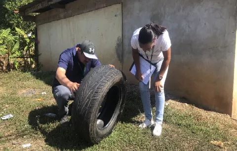 Herrera registra más de 150 casos de dengue por lo que piden reforzar las estrategias 