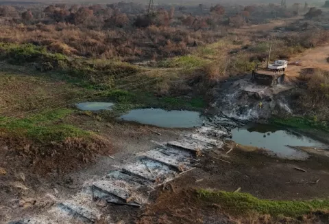 Pantanal de Brasil: El número de incendios rompe récord