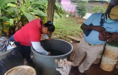 Arraiján registra más de 480 casos de dengue