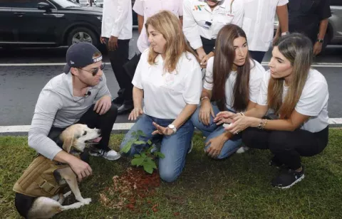 Ciudad de Panamá se encamina a una mayor arborización