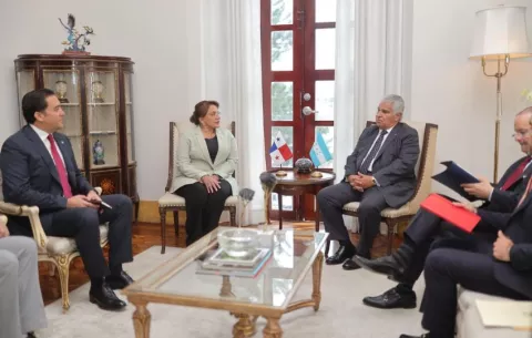 Mulino y Castro propician la cooperación en temas migratorio y comercial