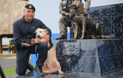 'Roy', el perro policía, se jubila tras una exitosa carrera