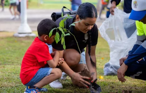 Alcaldía de Panamá sancionará a quienes dañen los plantones sembrados