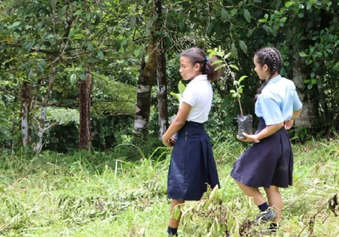 Programa Azuero Verde busca preservar bosques y  el río La Villa 