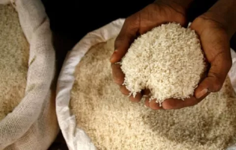 Decomisan 600 quintales de semilla de arroz de contrabando en Chiriquí