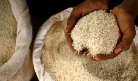 Molineros de arroz tenían 'prácticas monopolísticas'