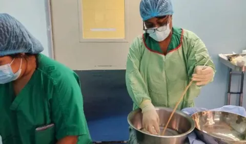 Panamá, pionero en usar injerto bovino en humanos