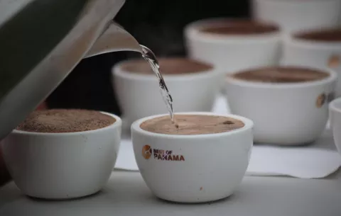 Geisha, el café de lujo de Panamá, impone un nuevo récord de precios
