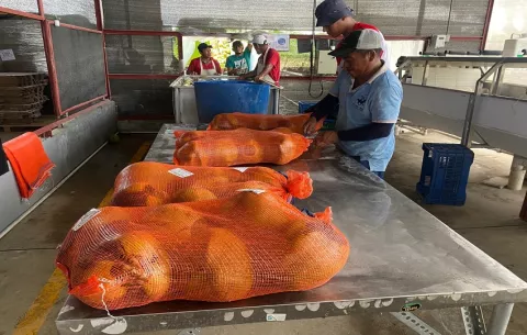 Panamá exporta agua de pipa a Estados Unidos por primera vez